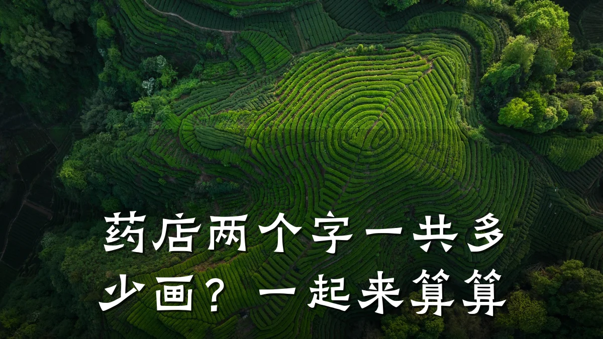 药店两个字一共多少画?一起来算算