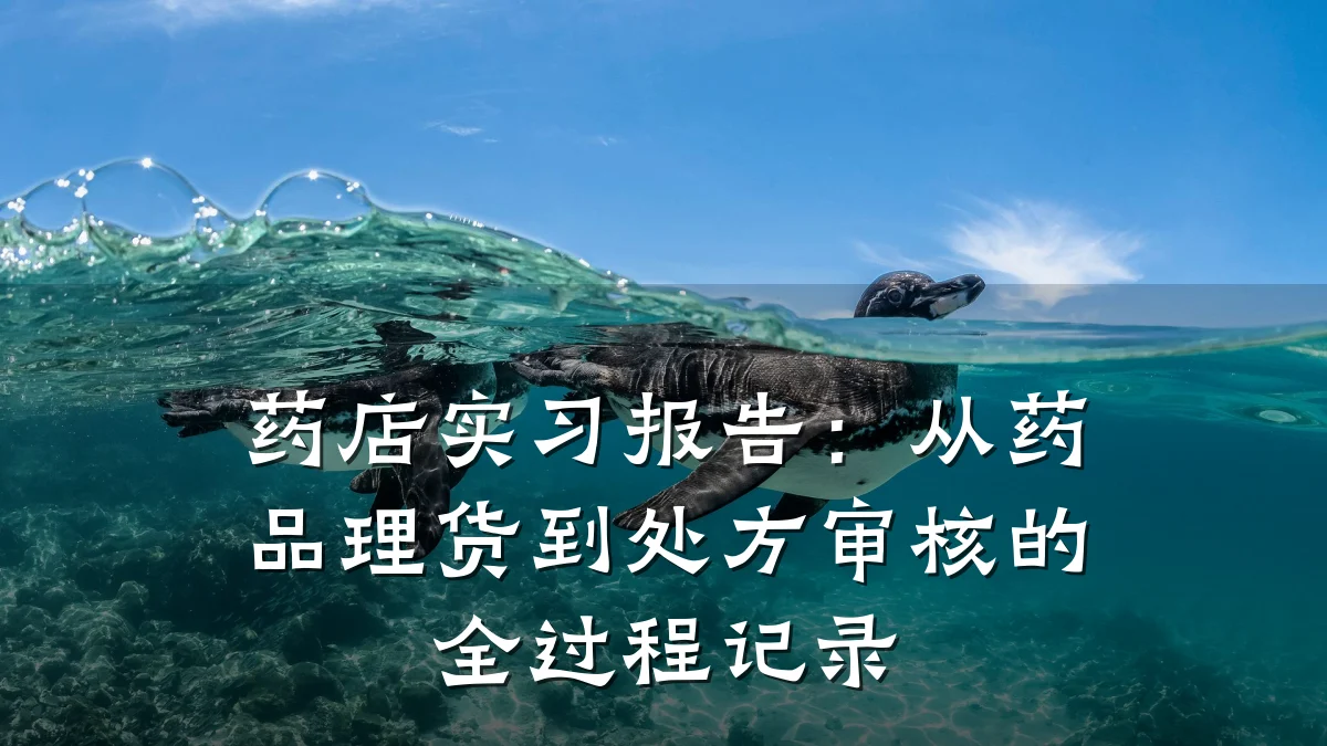 药店实习报告：从药品理货到处方审核的全过程记录