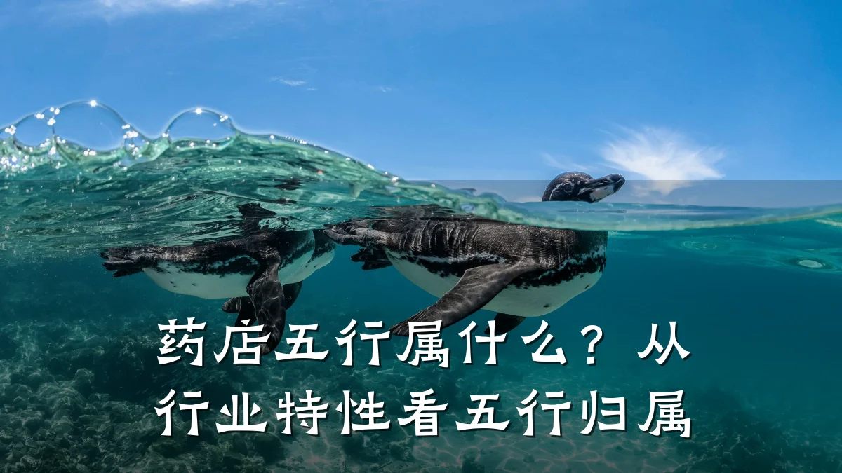药店五行属什么？从行业特性看五行归属