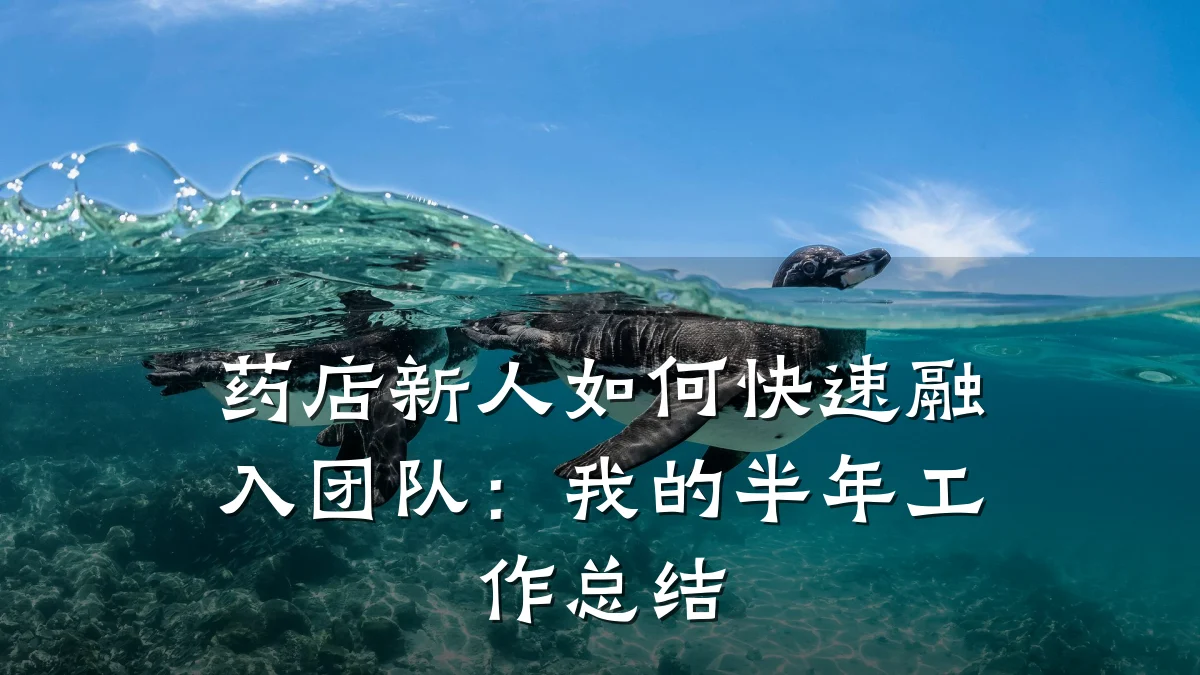 药店新人如何快速融入团队:我的半年工作总结
