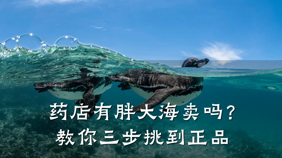 药店有胖大海卖吗?教你三步挑到正品