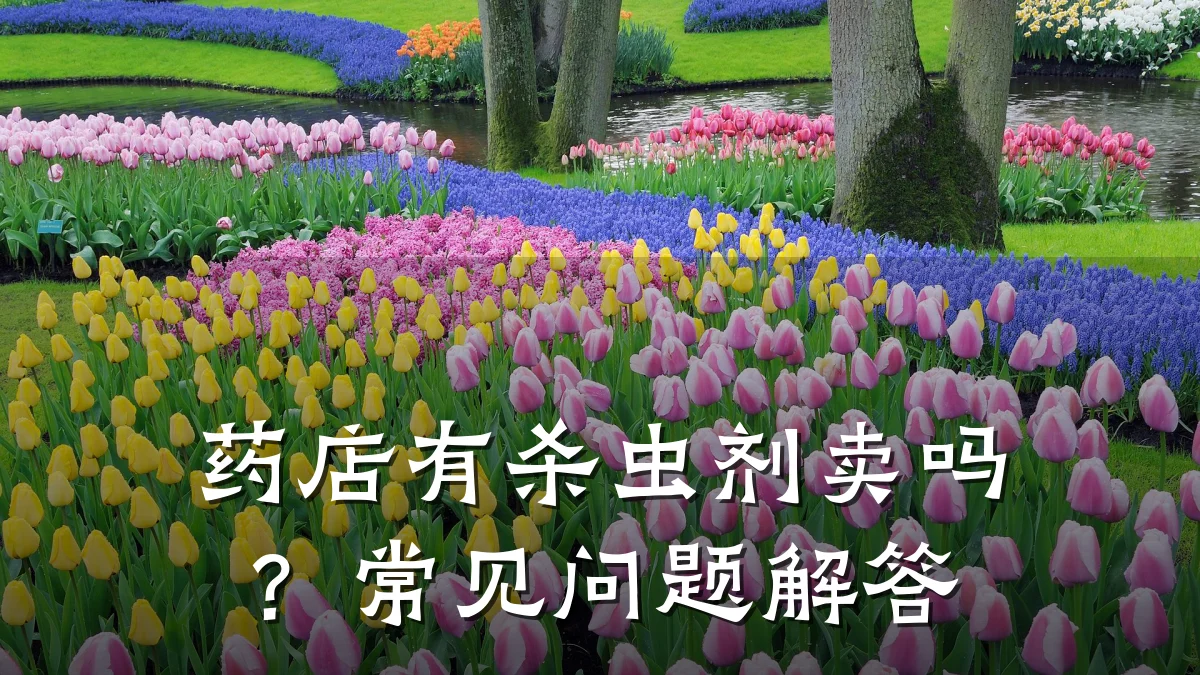 药店有杀虫剂卖吗?常见问题解答