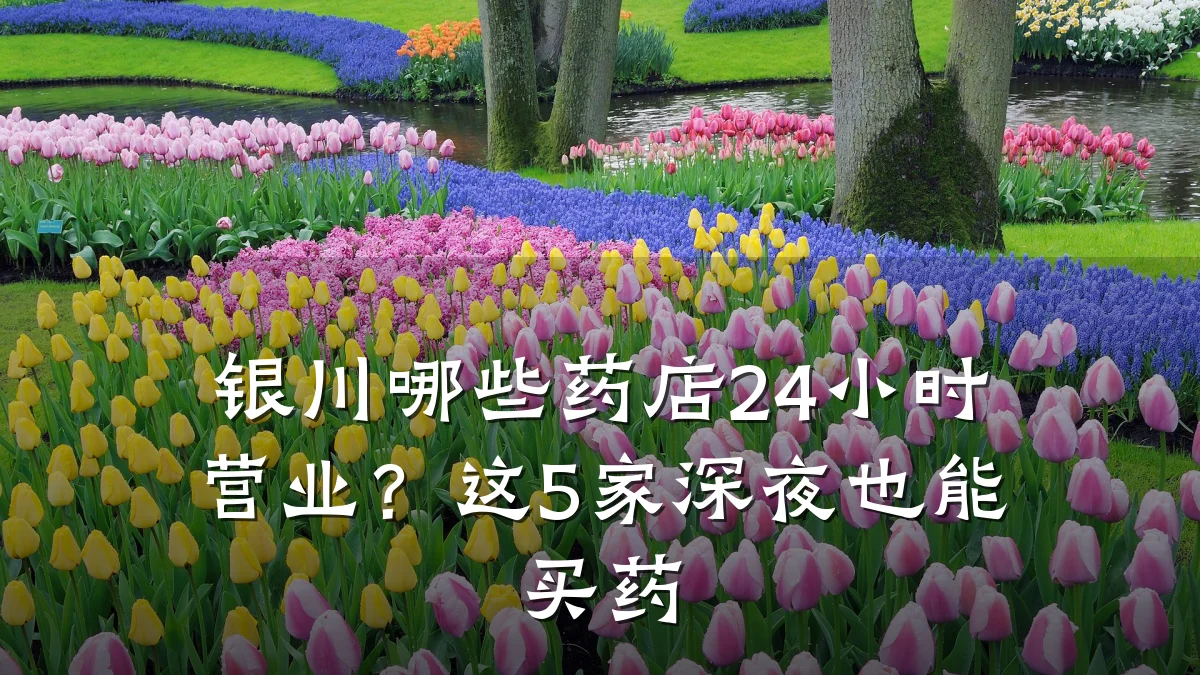 银川哪些药店24小时营业？这5家深夜也能买药