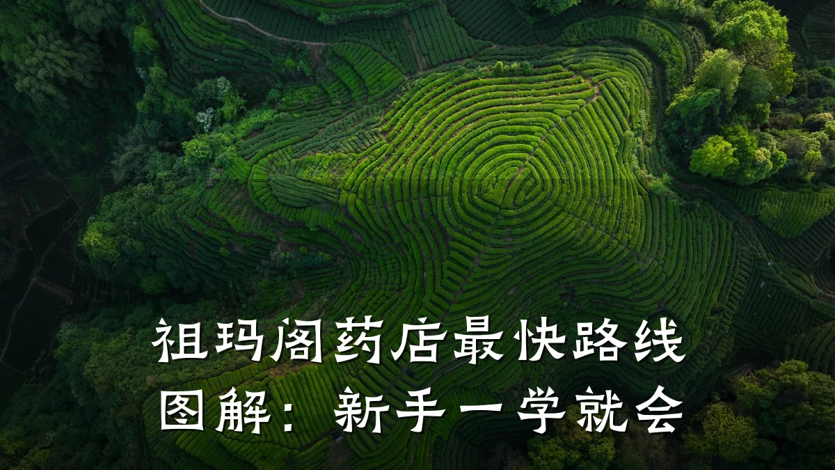 祖玛阁药店最快路线图解:新手一学就会