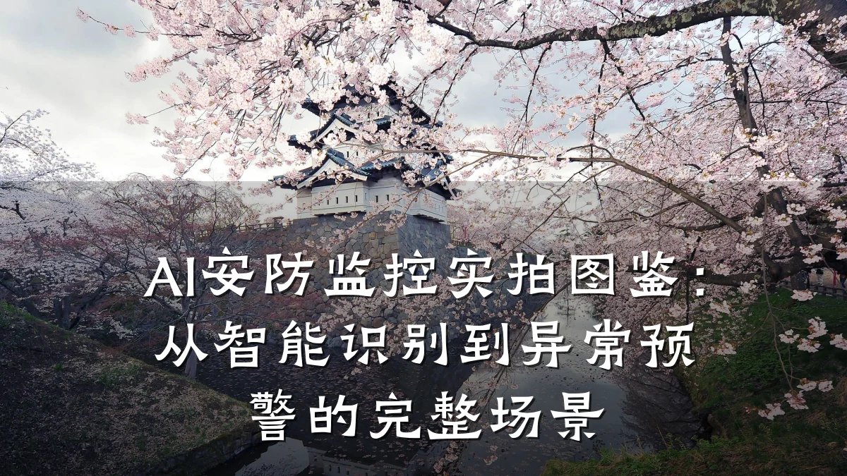 AI安防监控实拍图鉴:从智能识别到异常预警的完整场景
