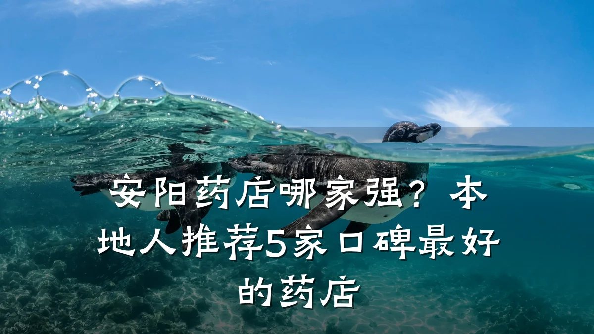 安阳药店哪家强?本地人推荐5家口碑最好的药店