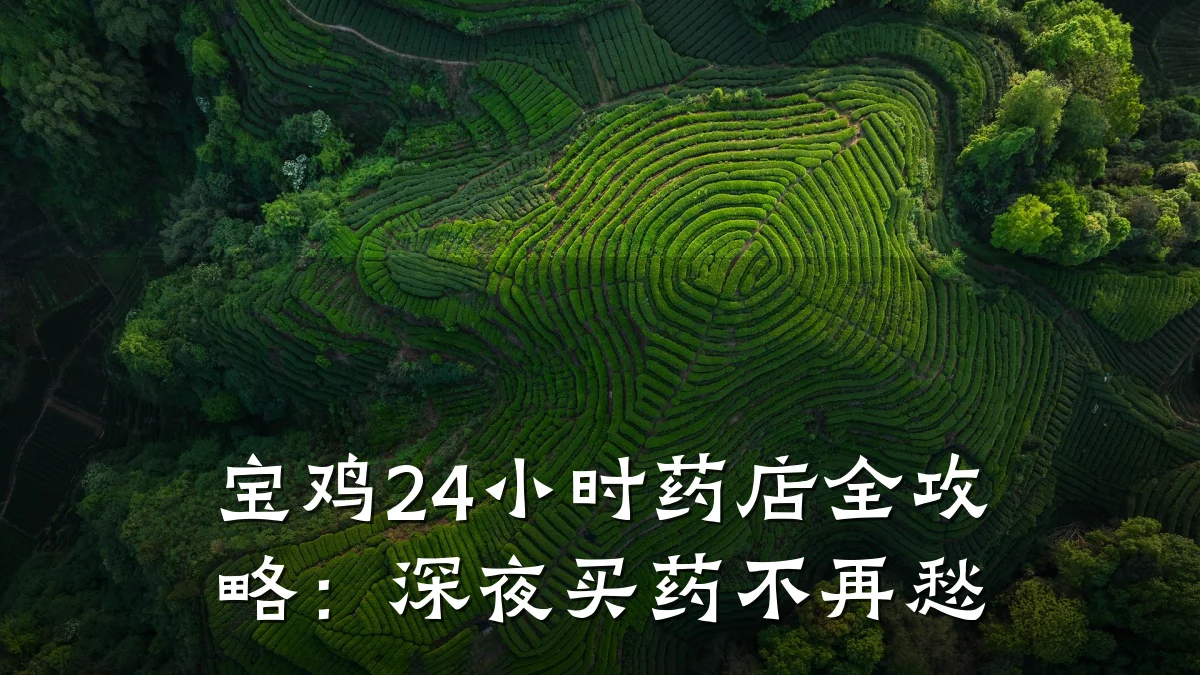 宝鸡24小时药店全攻略：深夜买药不再愁