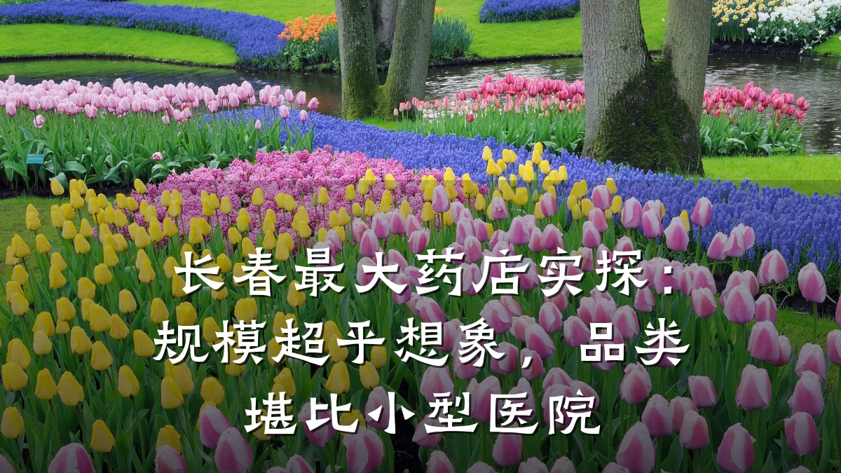 长春最大药店实探:规模超乎想象,品类堪比小型医院