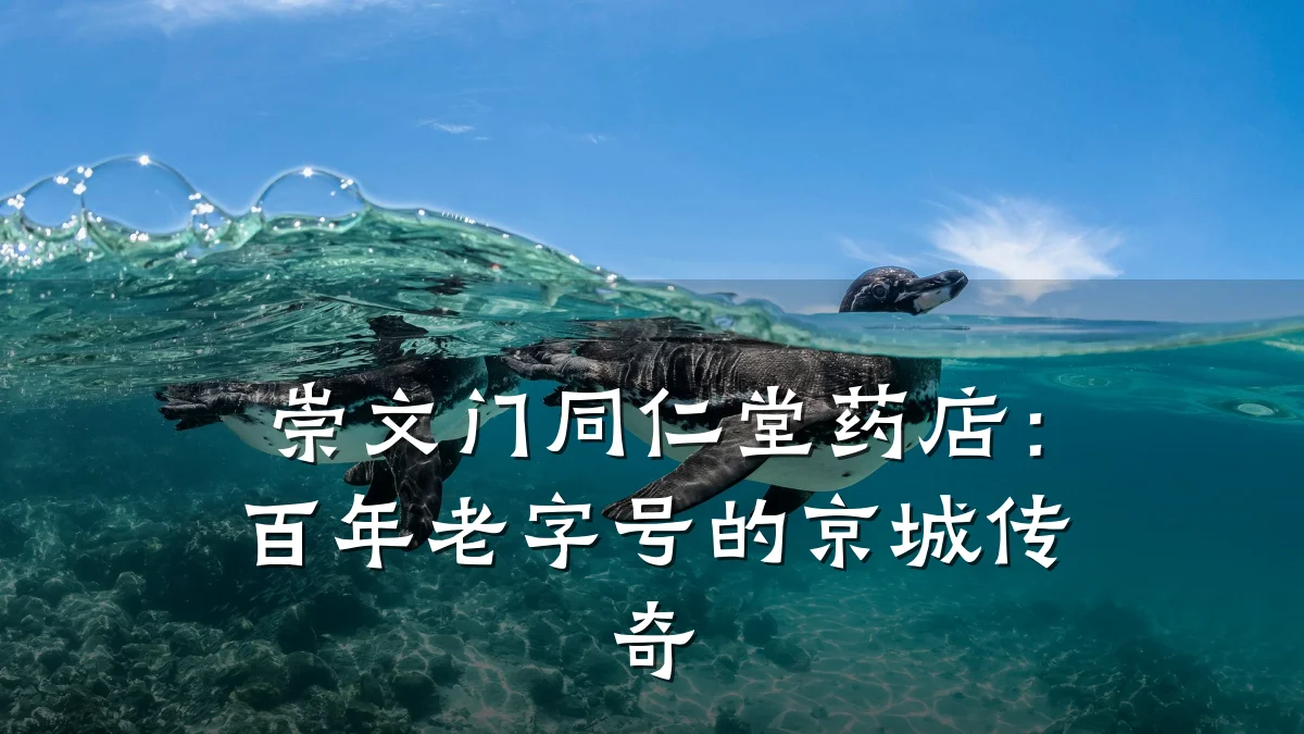 崇文门同仁堂药店:百年老字号的京城传奇