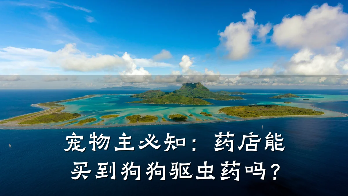 宠物主必知:药店能买到狗狗驱虫药吗?