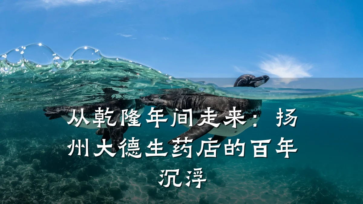 从乾隆年间走来：扬州大德生药店的百年沉浮
