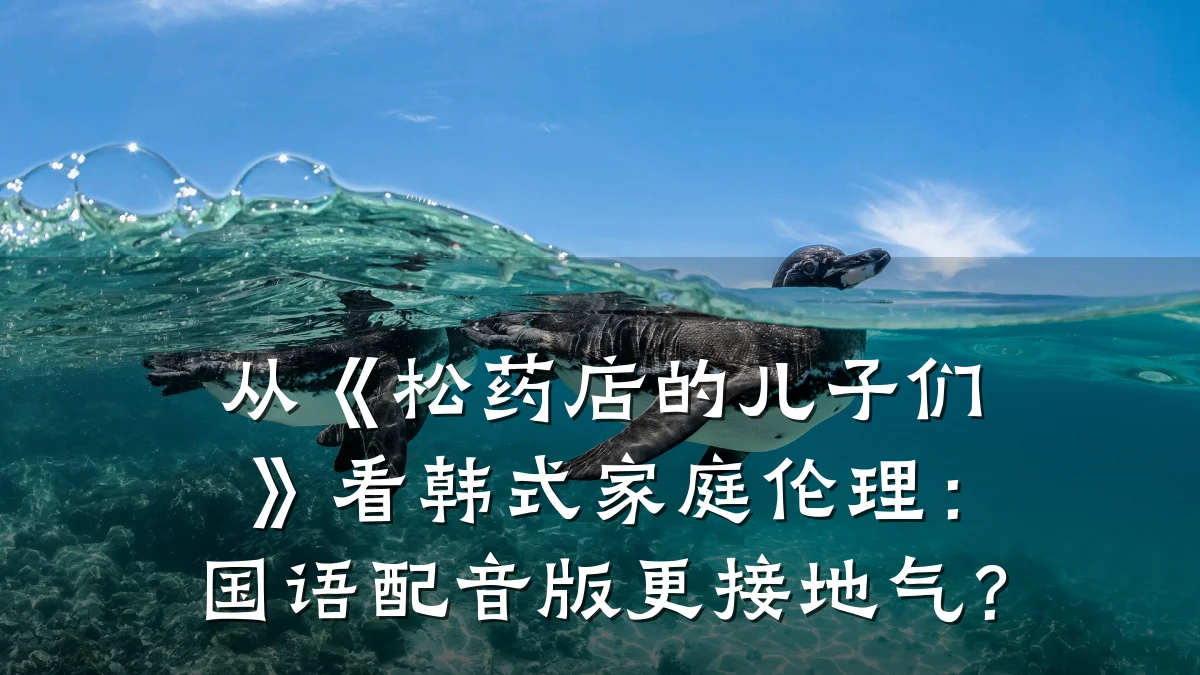 从《松药店的儿子们》看韩式家庭伦理：国语配音版更接地气？