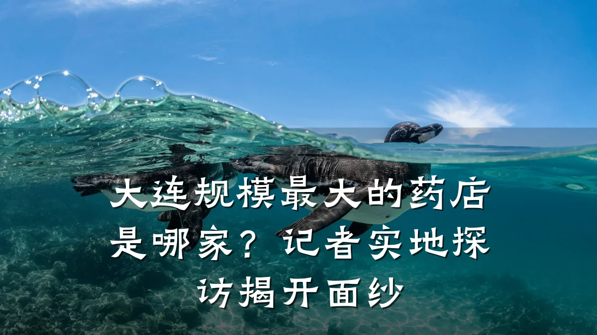 大连规模最大的药店是哪家?记者实地探访揭开面纱