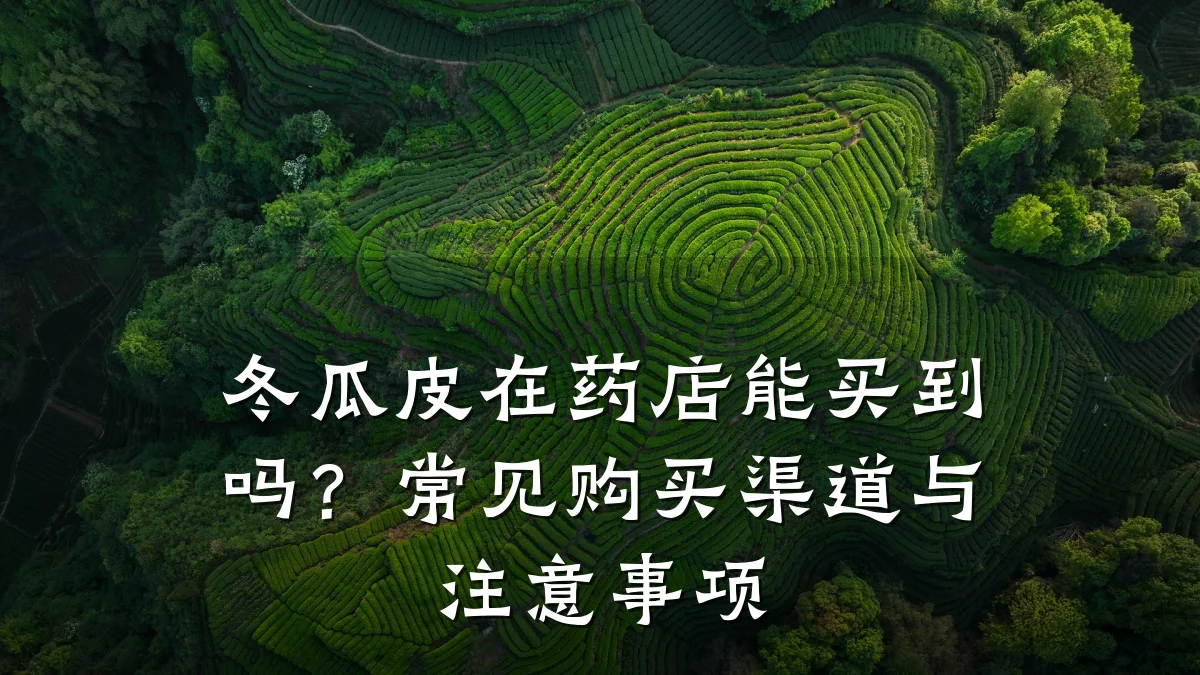 冬瓜皮在药店能买到吗?常见购买渠道与注意事项