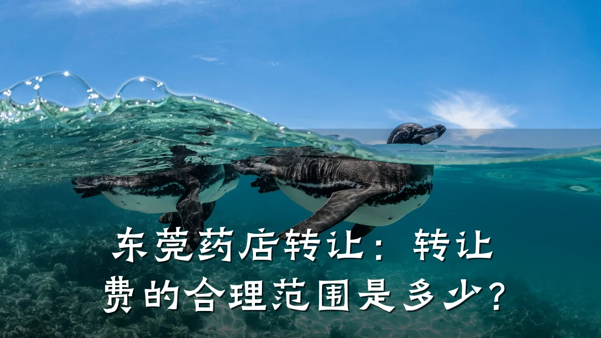 东莞药店转让：转让费的合理范围是多少？