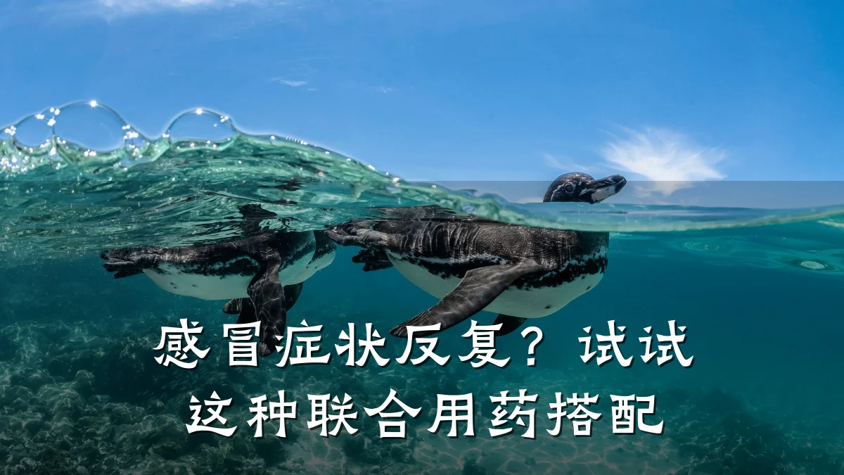 感冒症状反复？试试这种联合用药搭配
