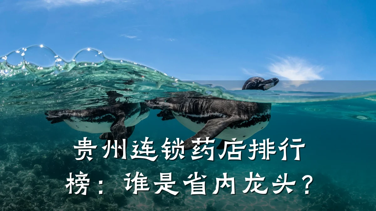 贵州连锁药店排行榜:谁是省内龙头?
