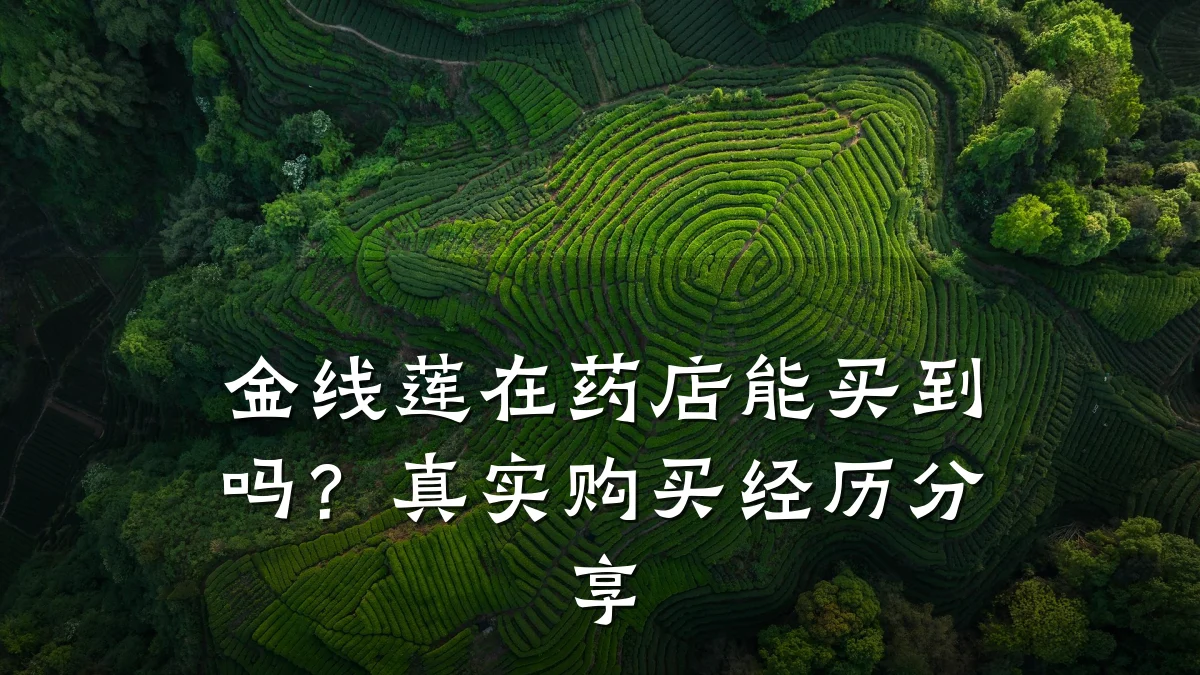 金线莲在药店能买到吗?真实购买经历分享