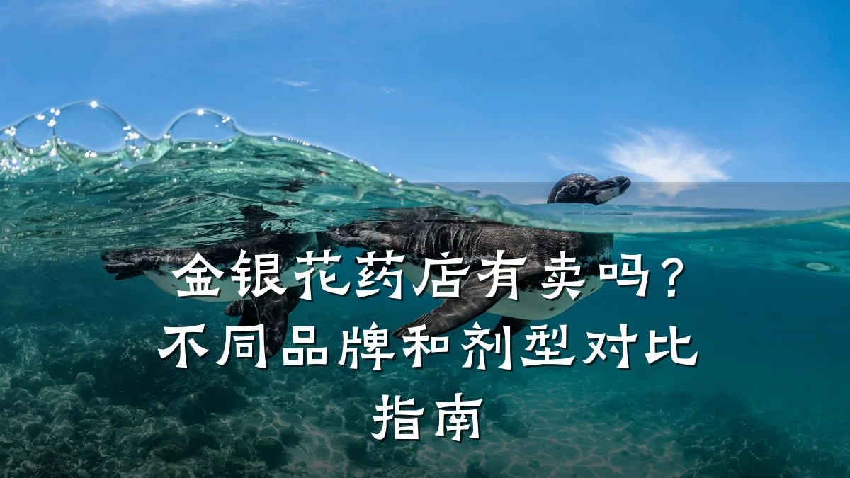 金银花药店有卖吗?不同品牌和剂型对比指南