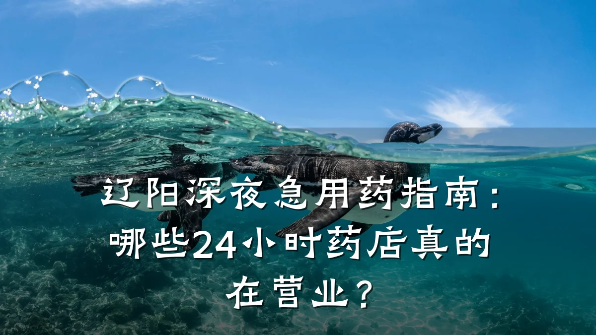 辽阳深夜急用药指南:哪些24小时药店真的在营业?