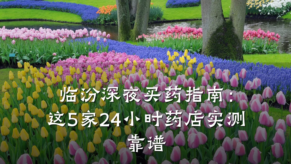临汾深夜买药指南:这5家24小时药店实测靠谱