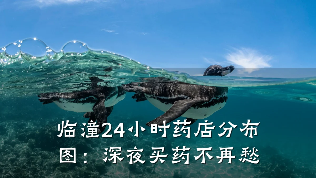 临潼24小时药店分布图:深夜买药不再愁