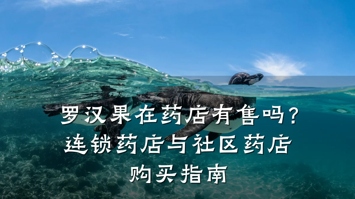罗汉果在药店有售吗？连锁药店与社区药店购买指南