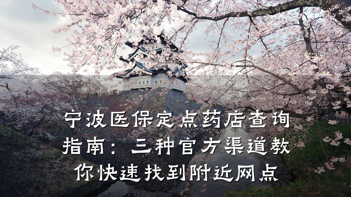 宁波医保定点药店查询指南:三种官方渠道教你快速找到附近网点