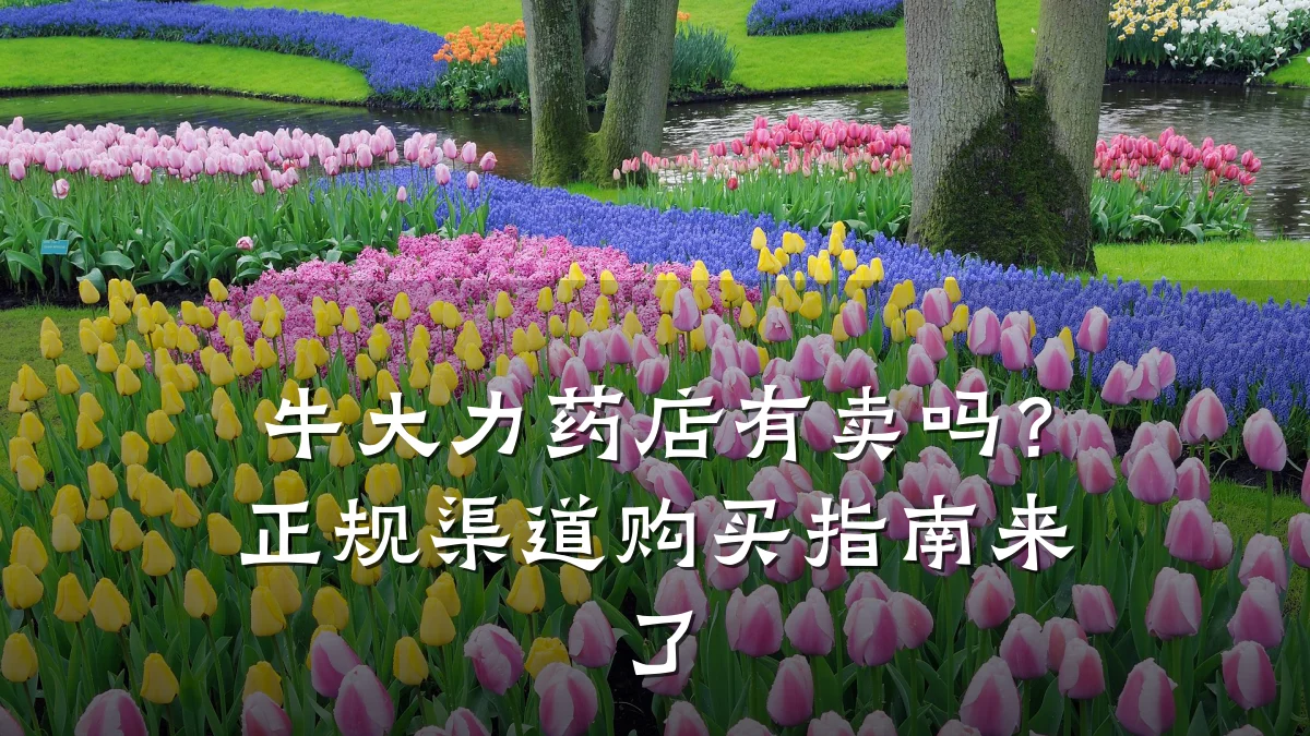 牛大力药店有卖吗?正规渠道购买指南来了