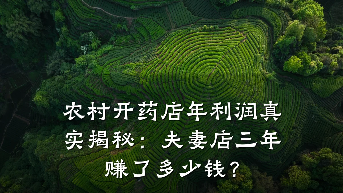 农村开药店年利润真实揭秘:夫妻店三年赚了多少钱?