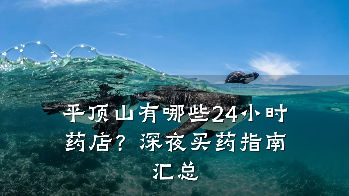 平顶山有哪些24小时药店？深夜买药指南汇总