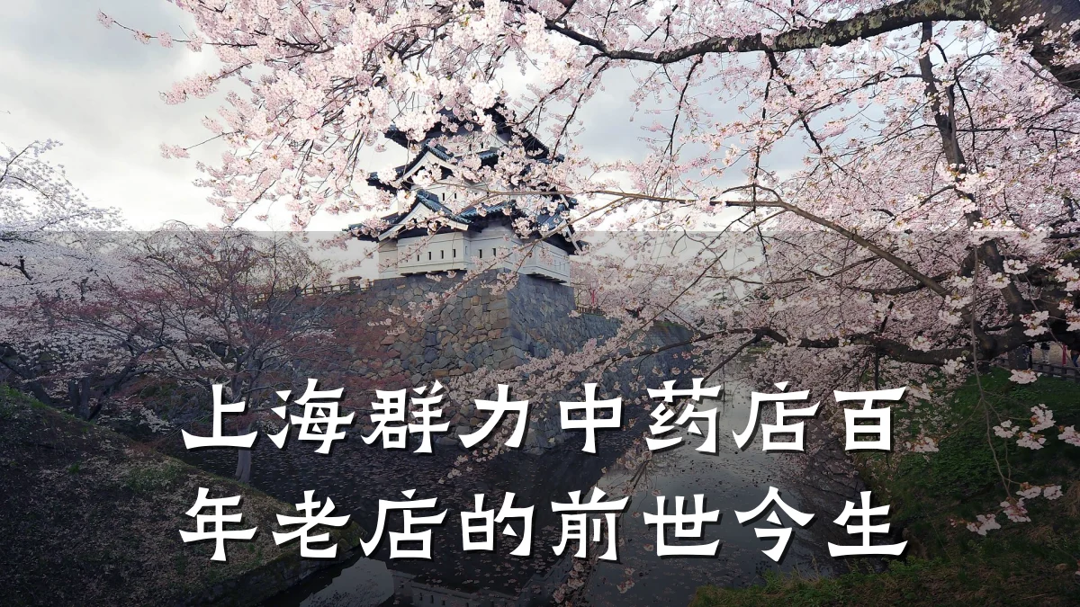 上海群力中药店百年老店的前世今生