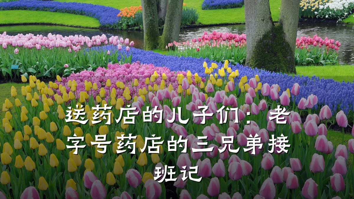送药店的儿子们:老字号药店的三兄弟接班记