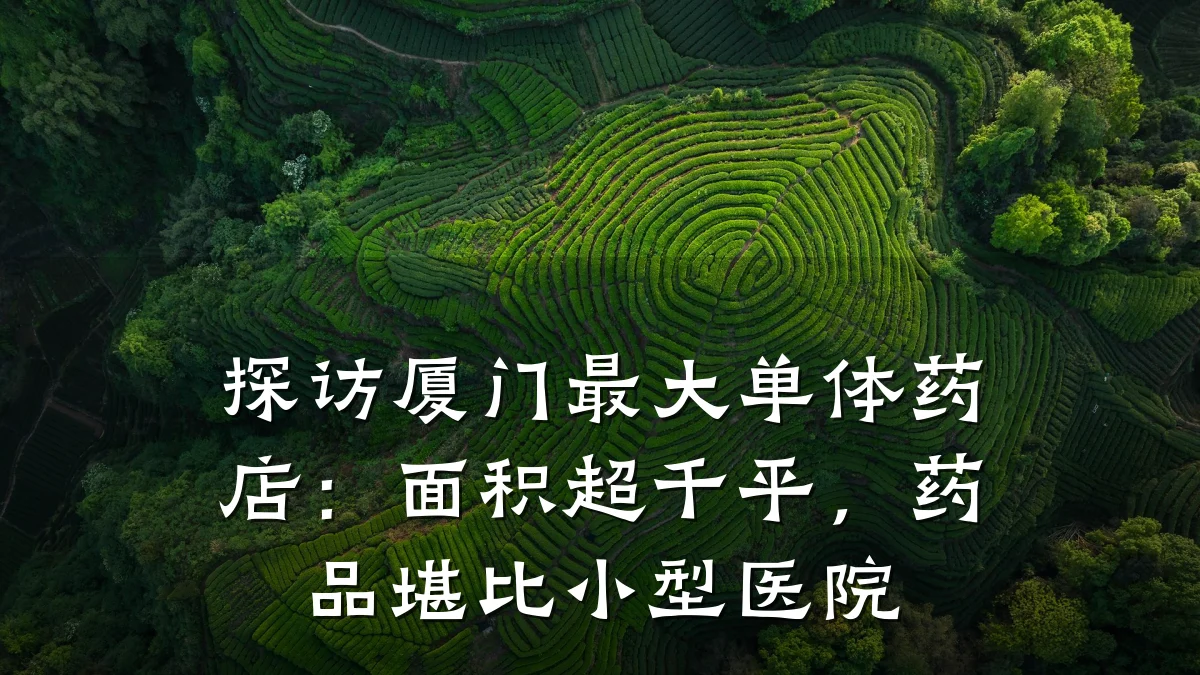 探访厦门最大单体药店：面积超千平，药品堪比小型医院