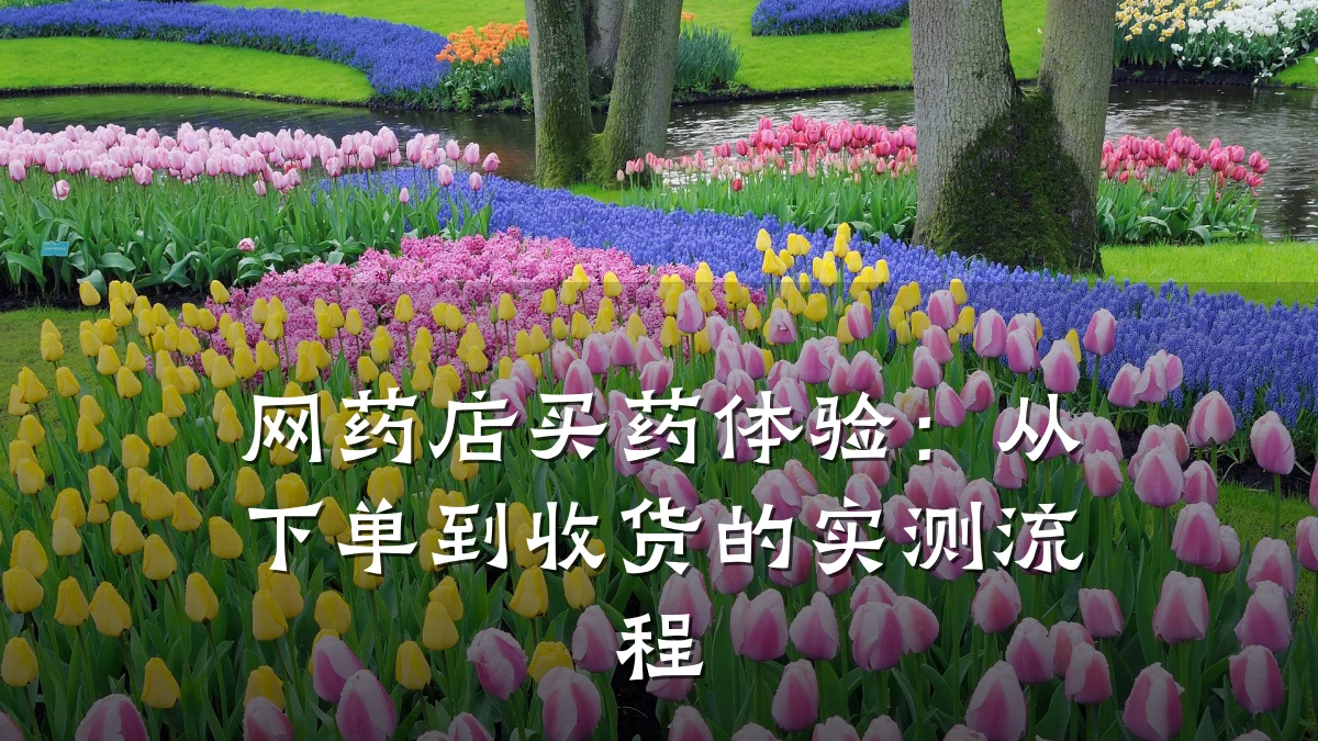 网药店买药体验：从下单到收货的实测流程