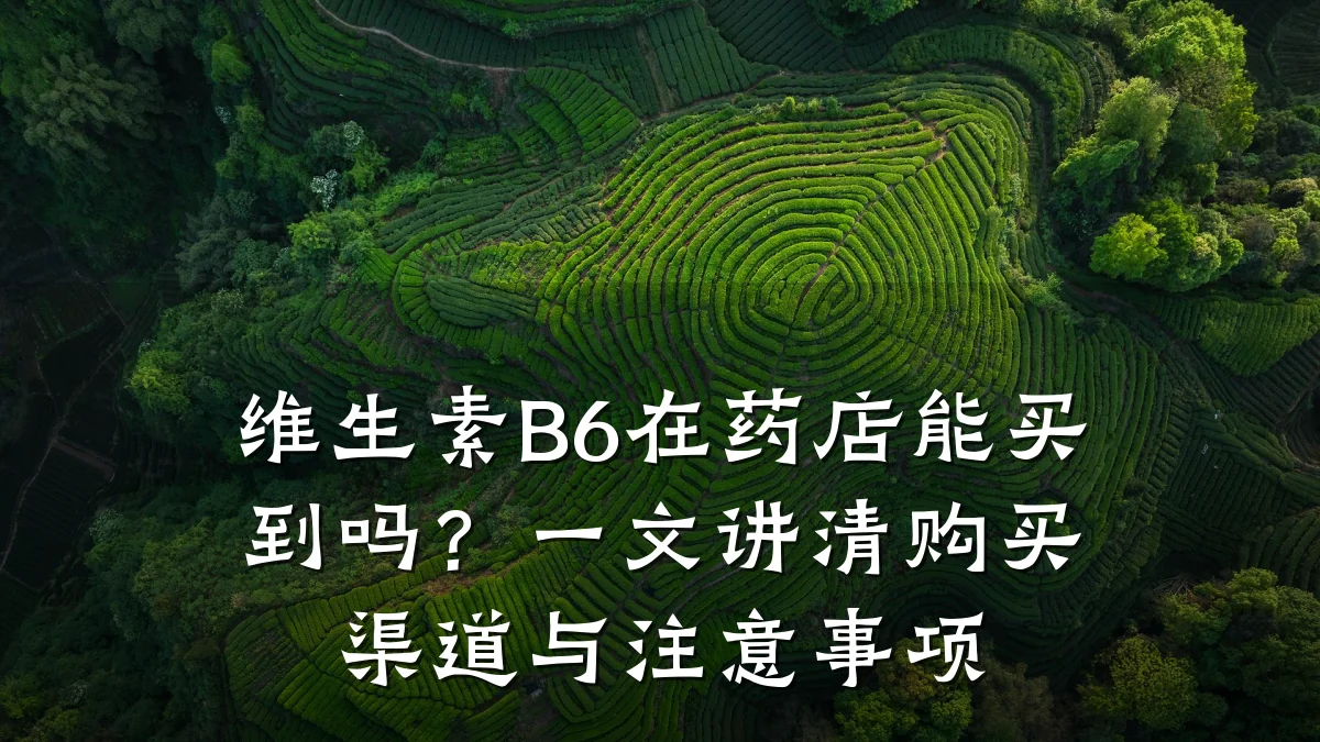 维生素B6在药店能买到吗?一文讲清购买渠道与注意事项