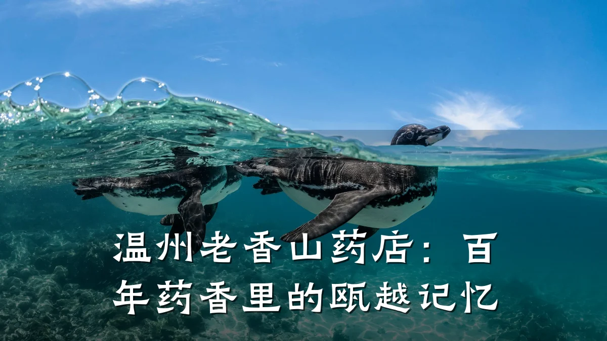 温州老香山药店：百年药香里的瓯越记忆