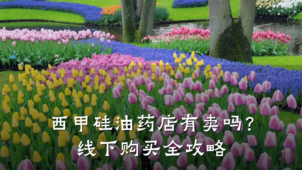 西甲硅油药店有卖吗?线下购买全攻略