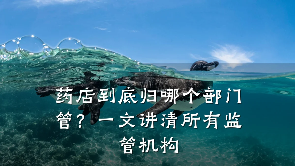 药店到底归哪个部门管?一文讲清所有监管机构