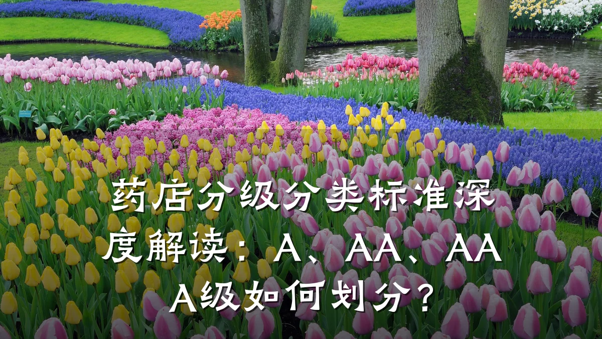 药店分级分类标准深度解读:A、AA、AAA级如何划分?