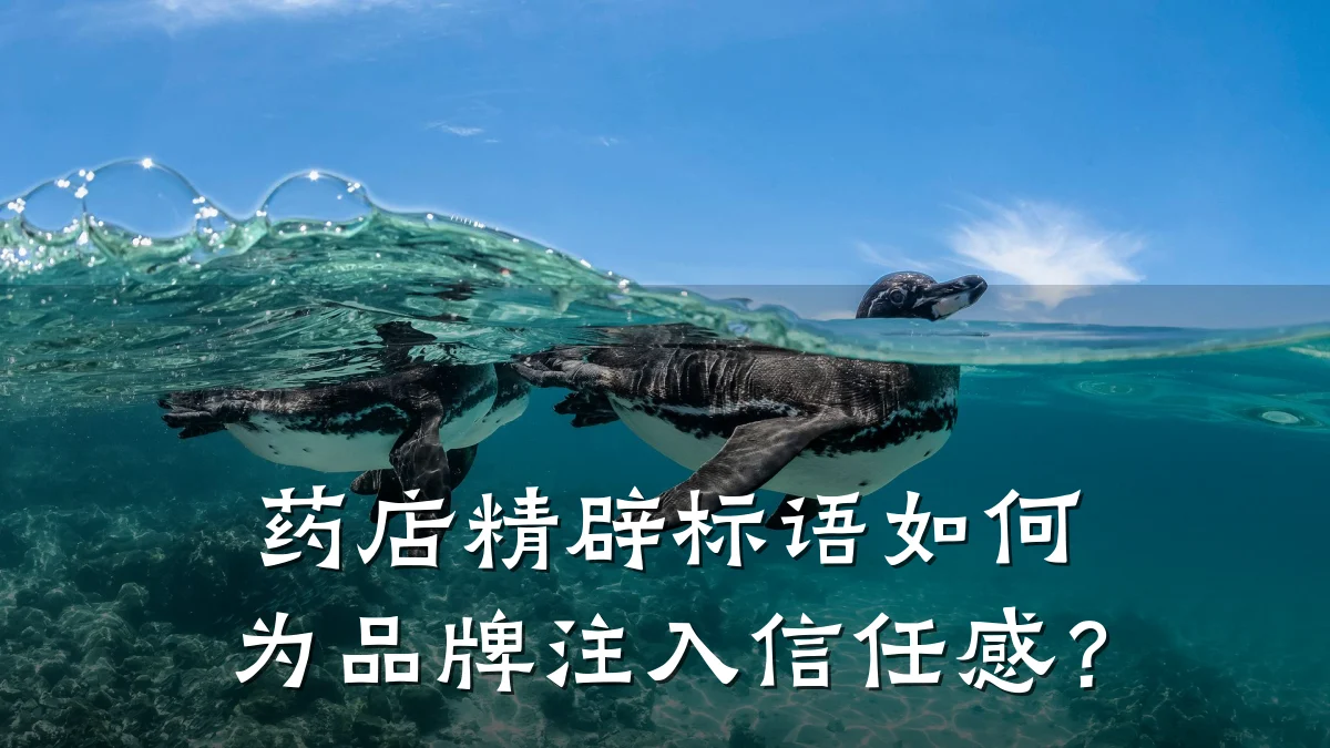 药店精辟标语如何为品牌注入信任感?