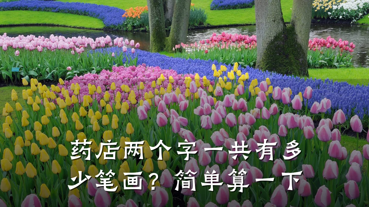 药店两个字一共有多少笔画?简单算一下