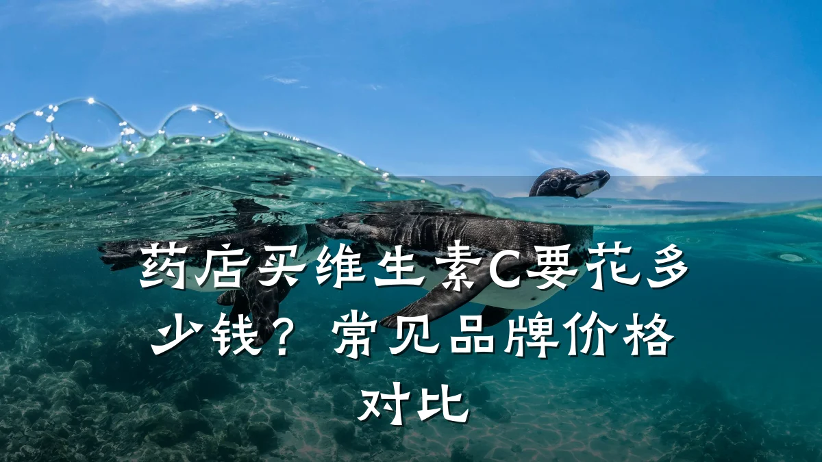 药店买维生素C要花多少钱?常见品牌价格对比