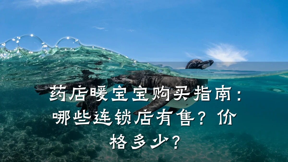 药店暖宝宝购买指南:哪些连锁店有售?价格多少?