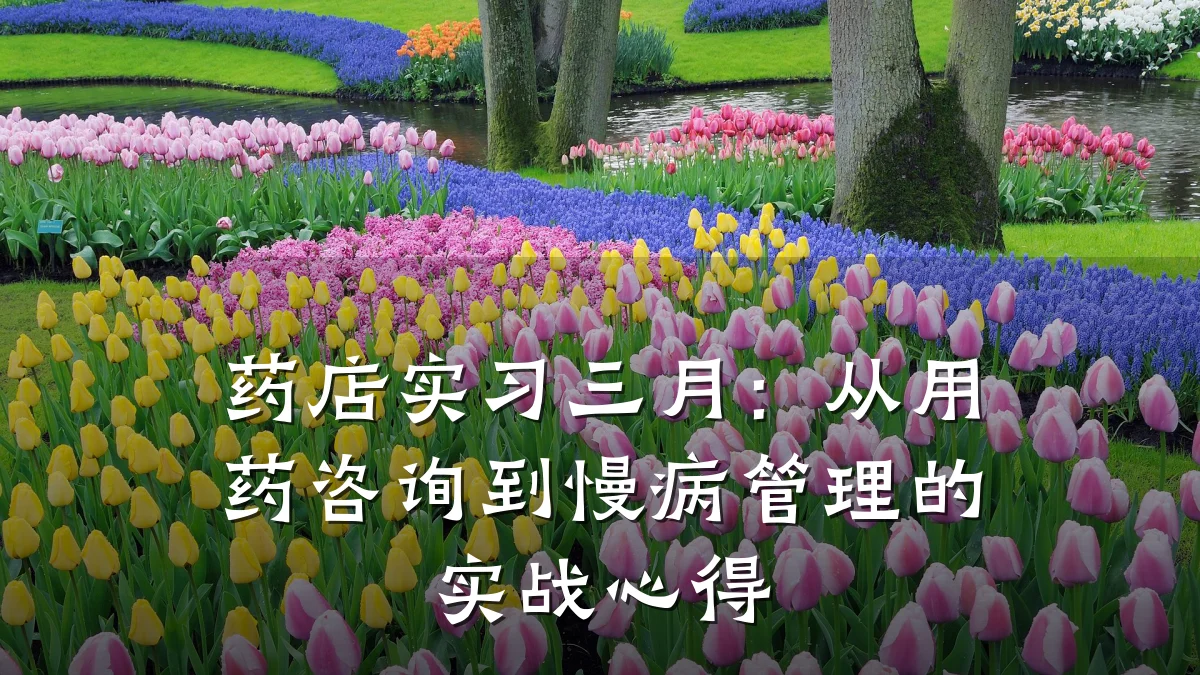 药店实习三月:从用药咨询到慢病管理的实战心得