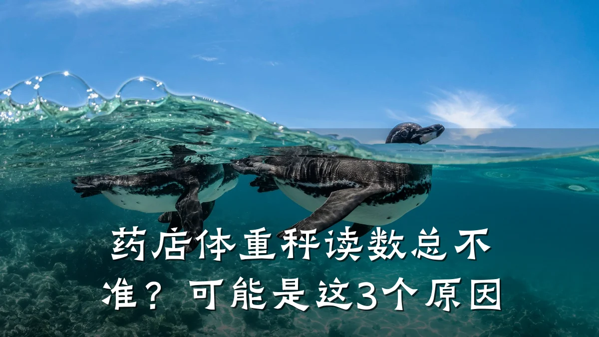 药店体重秤读数总不准?可能是这3个原因