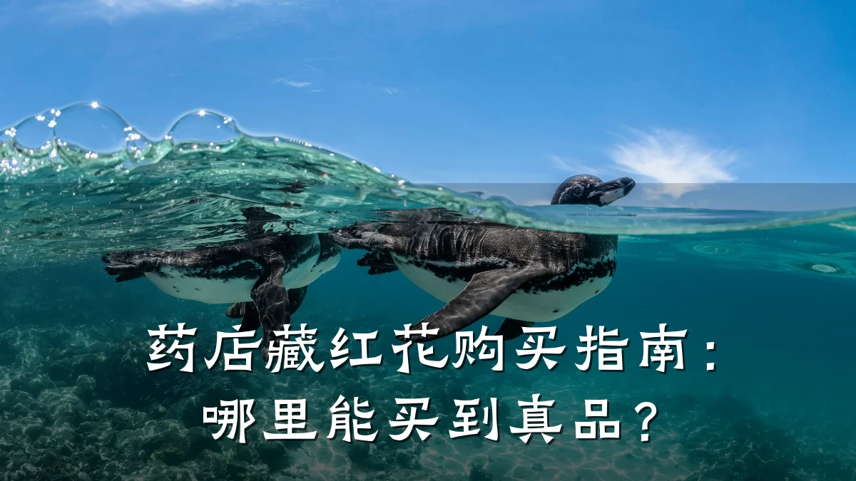 药店藏红花购买指南:哪里能买到真品?