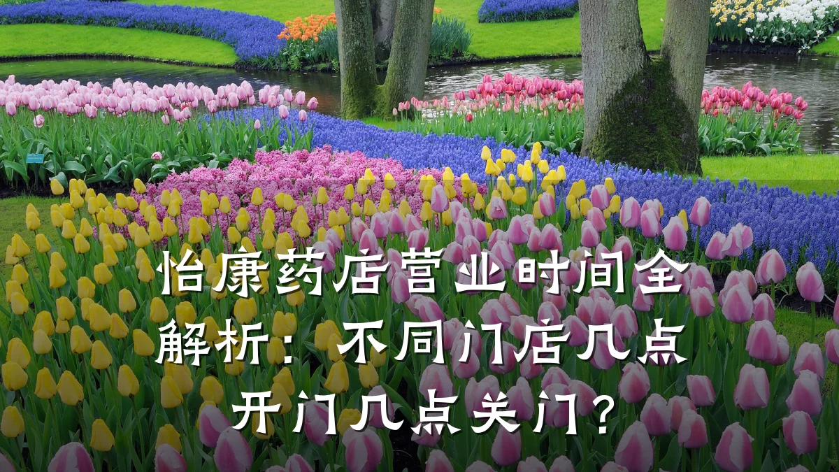 怡康药店营业时间全解析：不同门店几点开门几点关门？