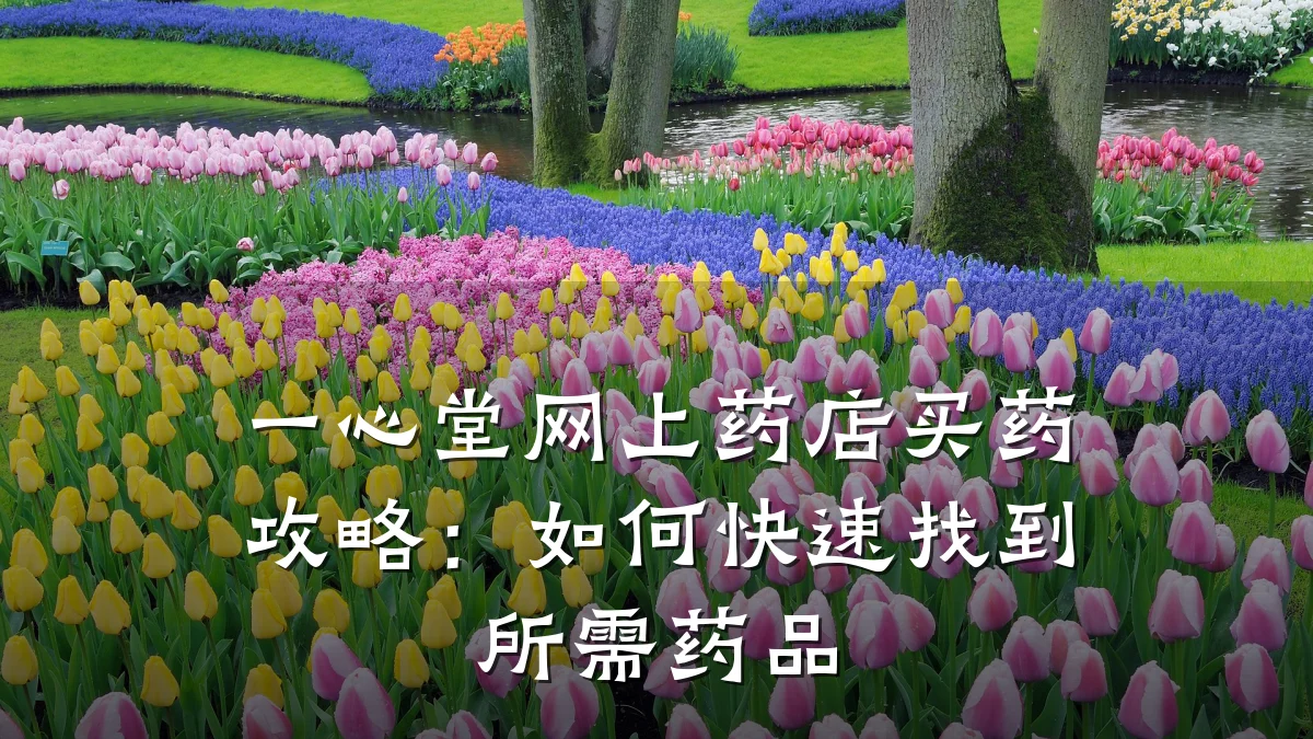 一心堂网上药店买药攻略：如何快速找到所需药品