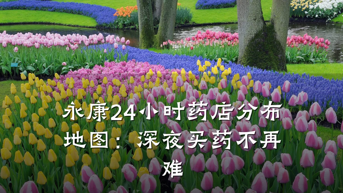 永康24小时药店分布地图:深夜买药不再难